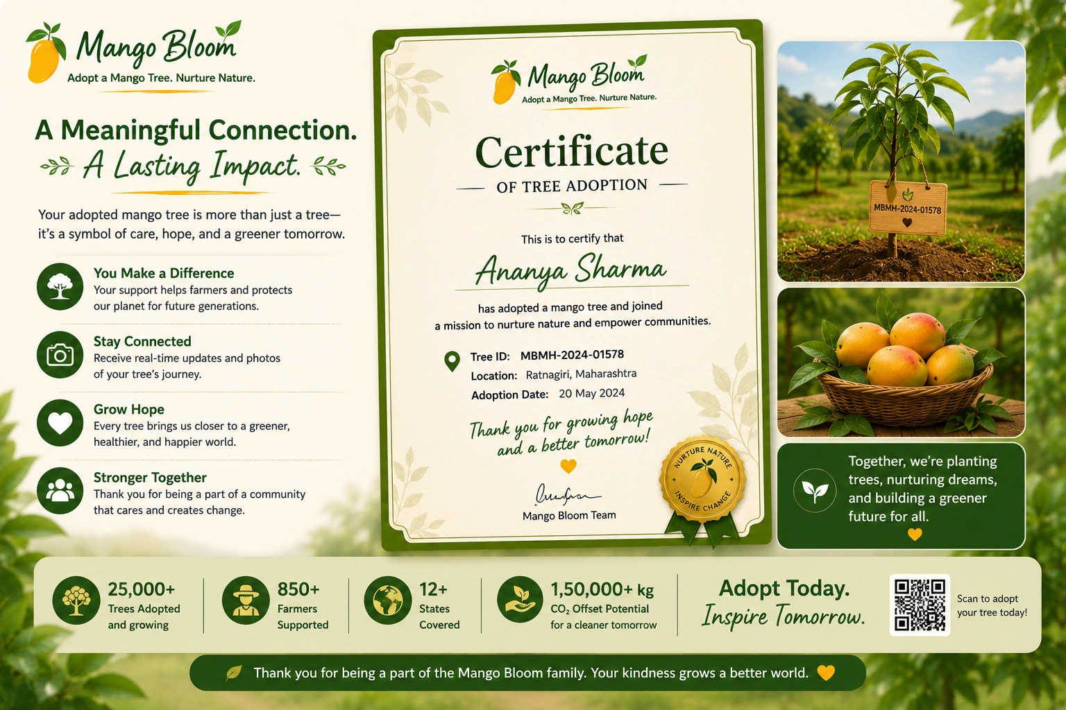 Mango Bloom adoption certificate and tree identity